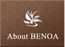 About BENOA